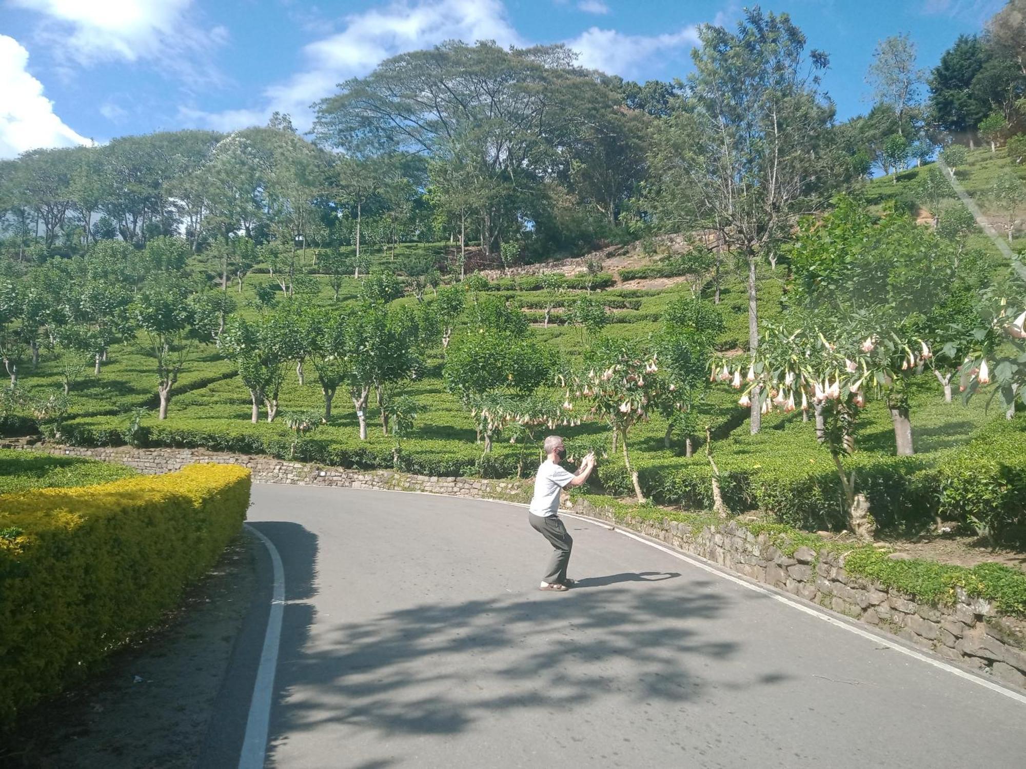 Princess Of Dickoya Homestay Hatton Zimmer foto