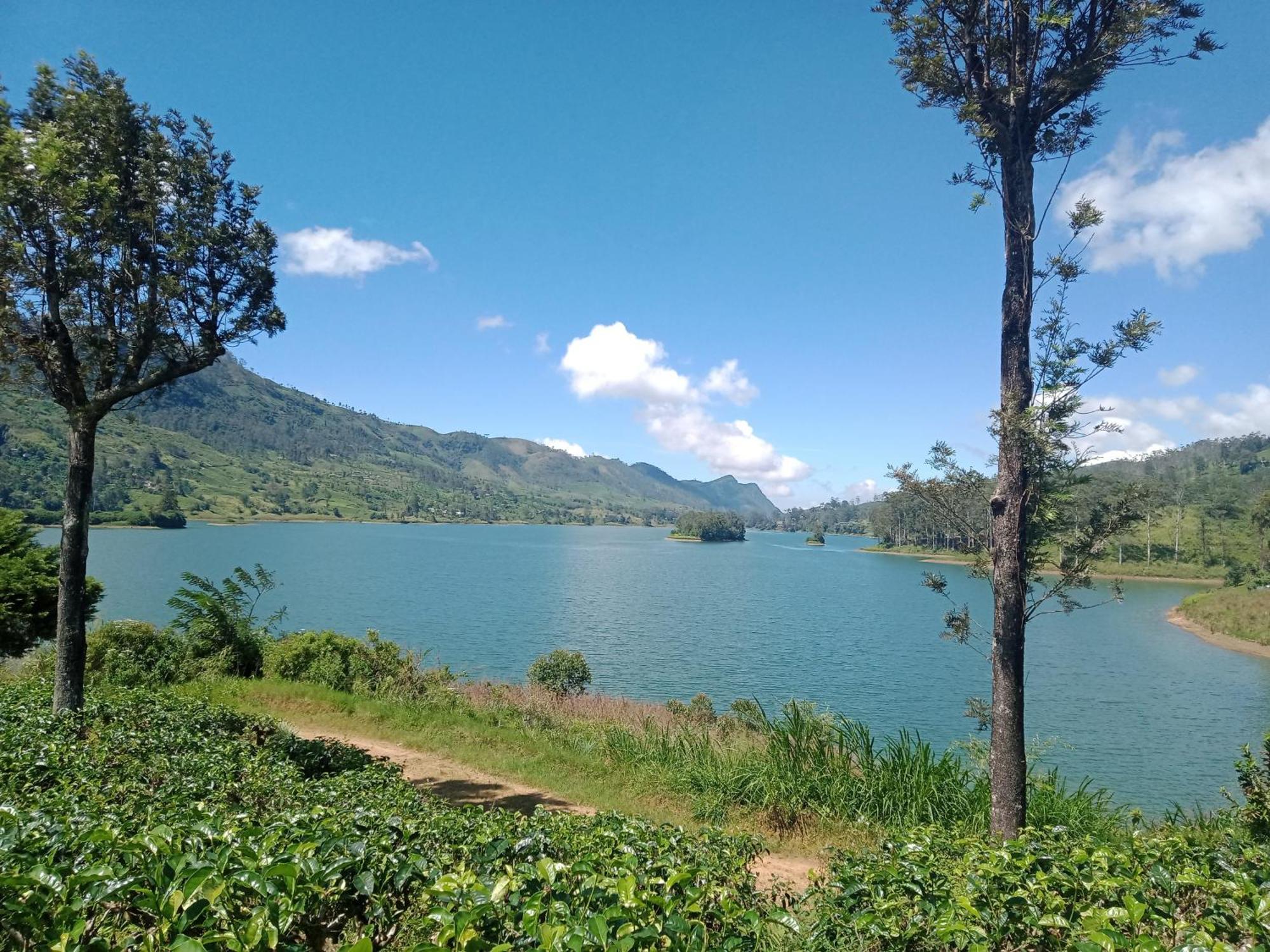 Princess Of Dickoya Homestay Hatton Zimmer foto
