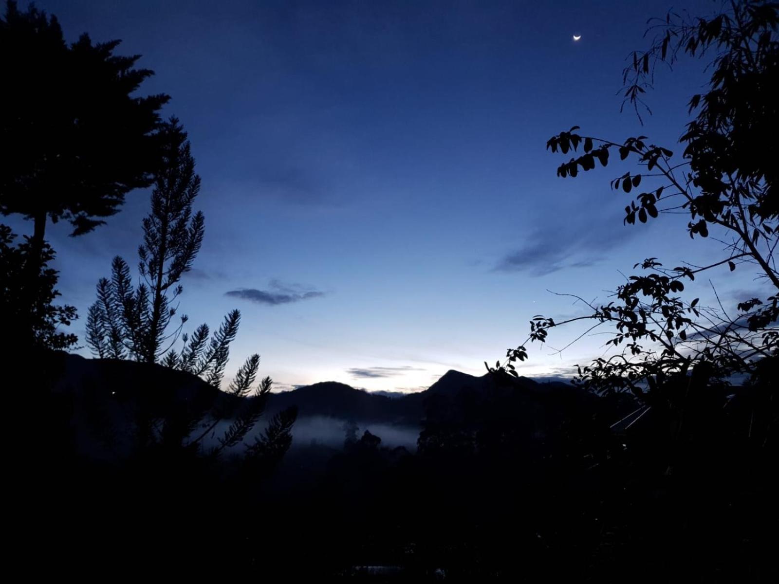 Princess Of Dickoya Homestay Hatton Zimmer foto